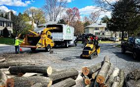  Grover Beach, CA Tree Services Pros